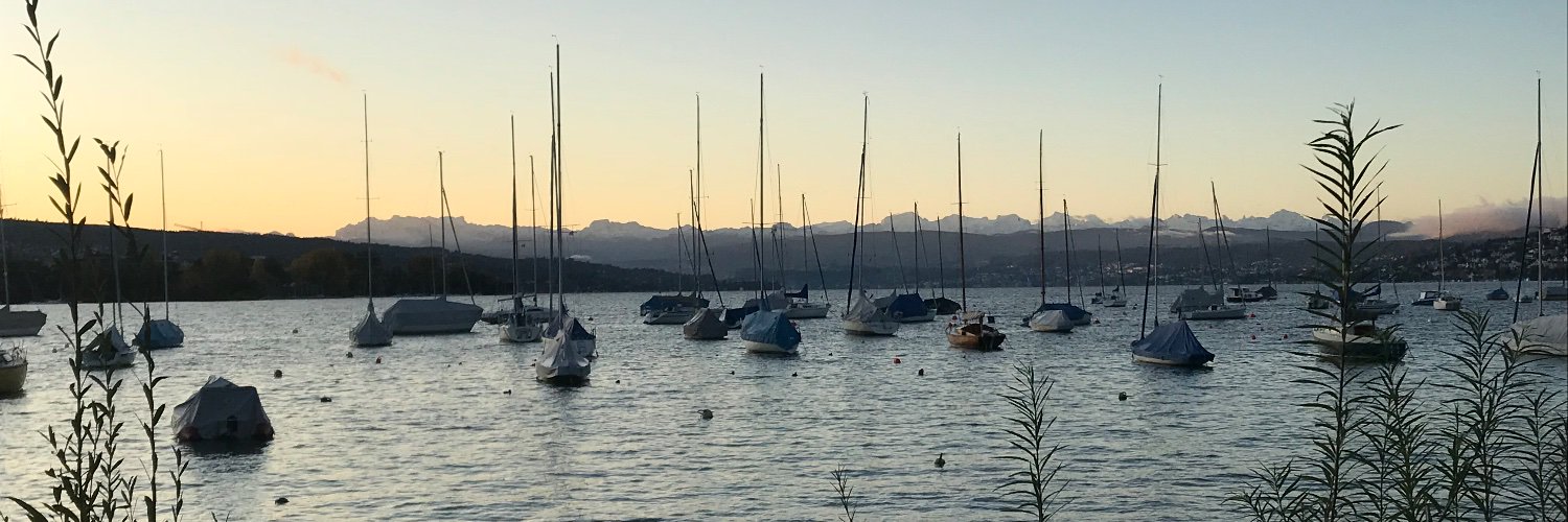 Michael Surber banner