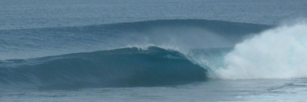ocean101resort's profile banner image