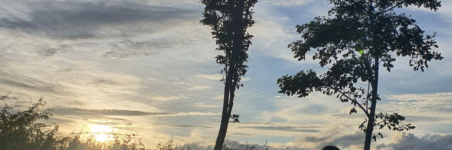 ninajongs's profile banner image