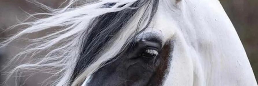 MhhQtr's profile banner image