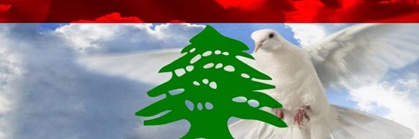 AnnaDeebStPat's profile banner image