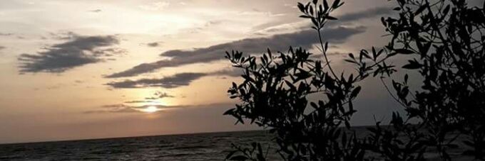 Moustafa Berete banner