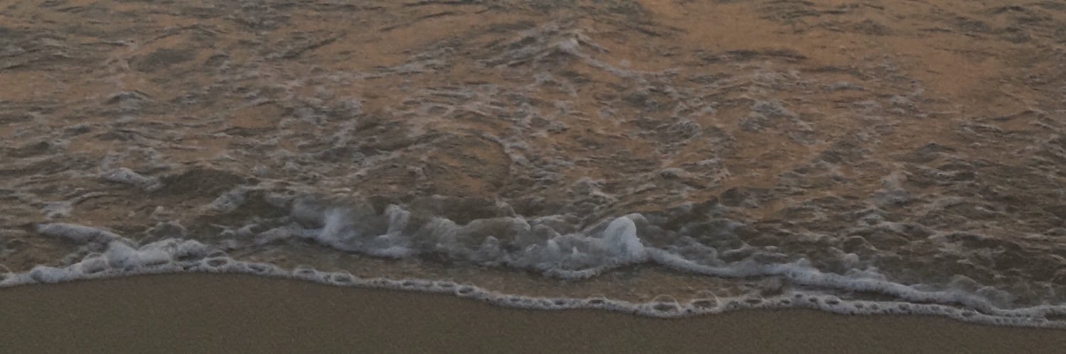 esterbonett's profile banner image