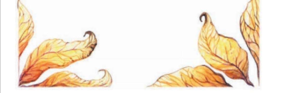 marilibeth1's profile banner image