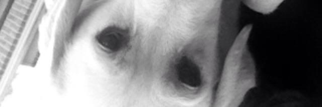 jassie_b's profile banner image