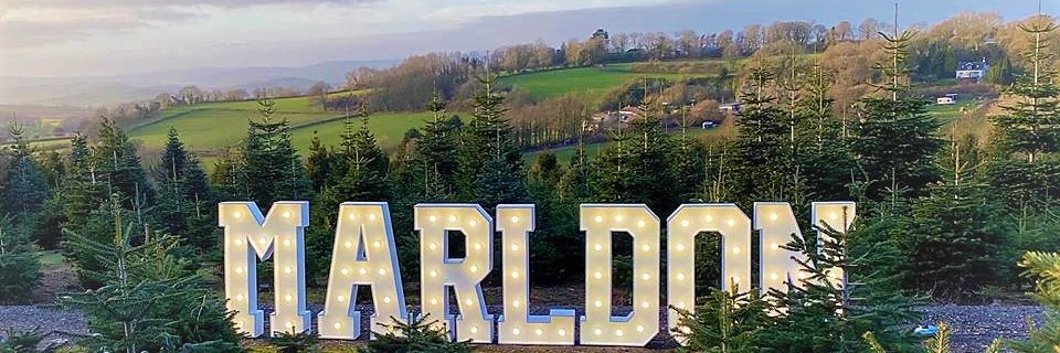 Marldon Christmas Tree Farm banner