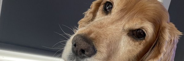 kt268 Profile Banner