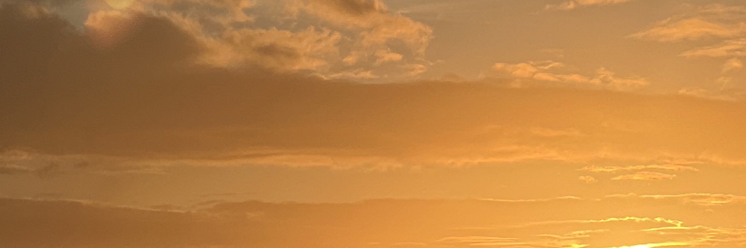 rxdz_'s profile banner image