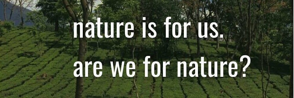 🌳Rupali banner