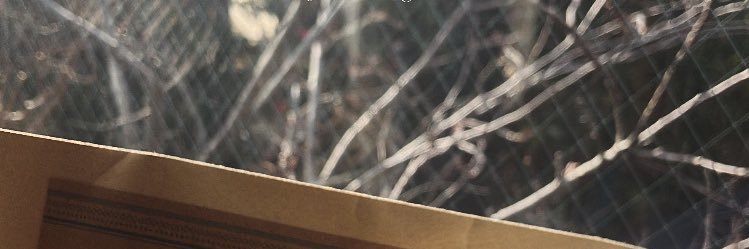 kaory1118's profile banner image