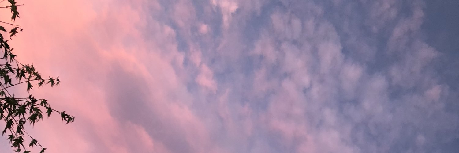 sssm9chan's profile banner image