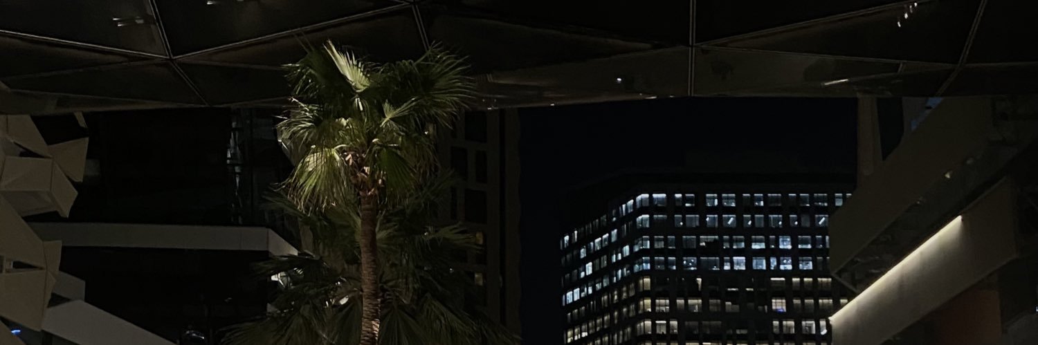 DN11_'s profile banner image