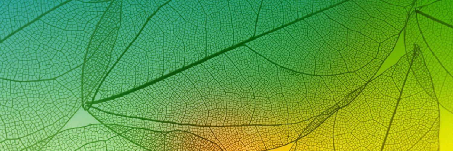 INBIOAR S.A.S banner