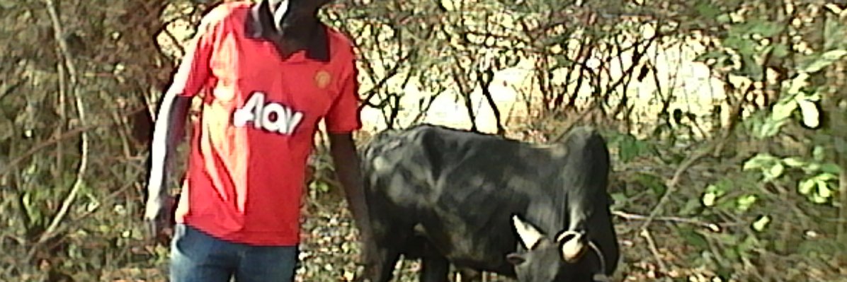 AbachaData's profile banner image