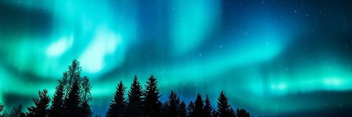 Lyndz banner