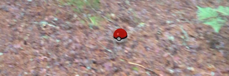 starlingnouis's profile banner image