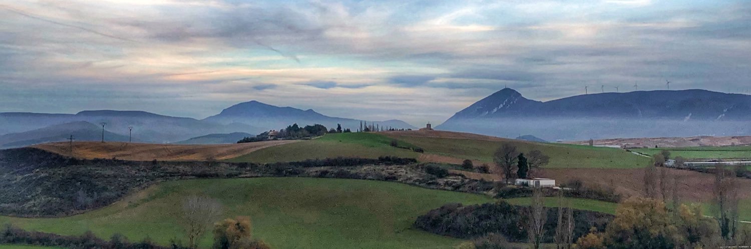 Lourdes Biurrun banner