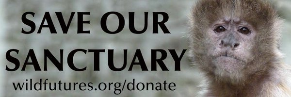 wildfutures Profile Banner