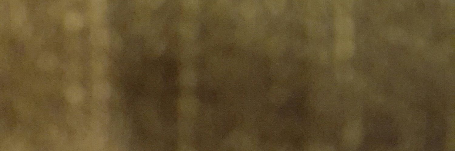 HolyManWow's profile banner image