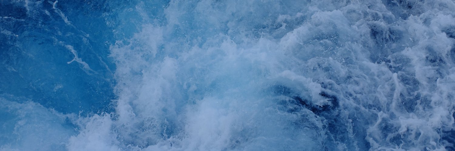 María Paz Chidichimo banner