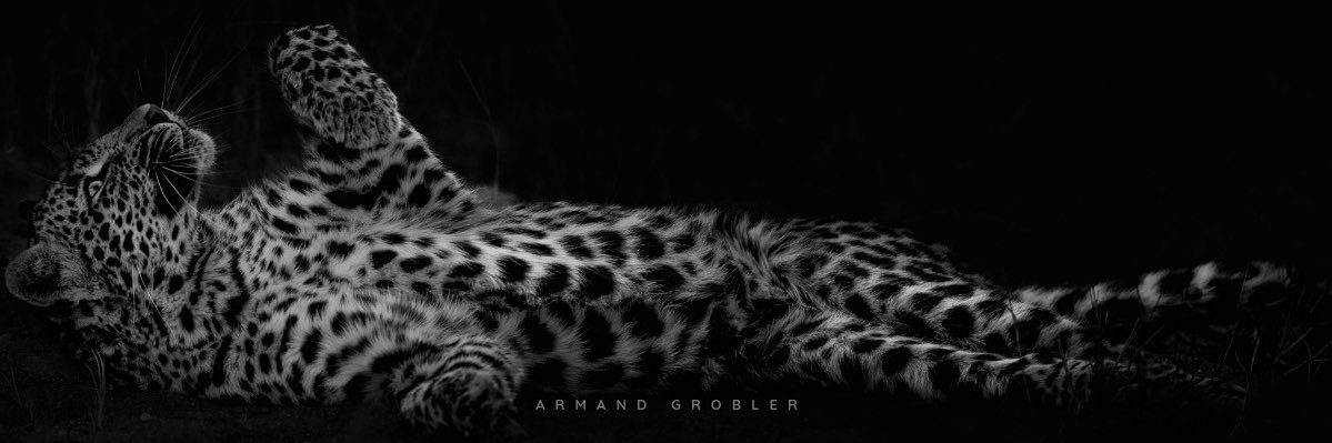 Rhulani_Photo's profile banner image