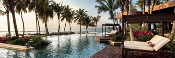 maya11031572 Profile Banner