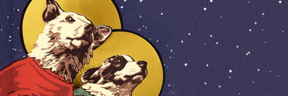 spacedogpets's profile banner image