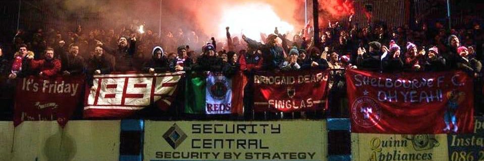 Dylan Fox 🇵🇸 banner
