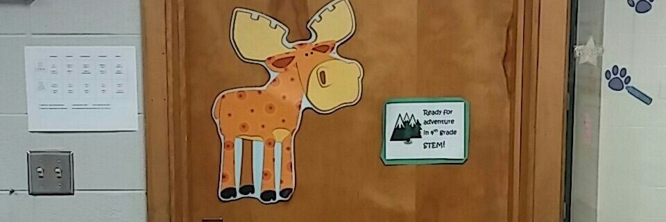 MrsBranby's profile banner image