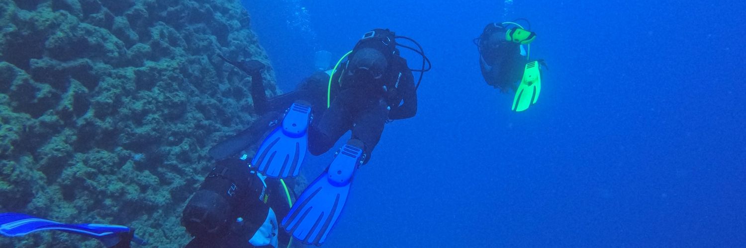 Paul Champion banner