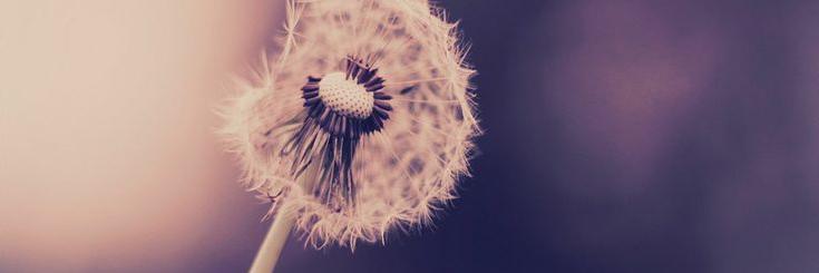 KimCoooper's profile banner image