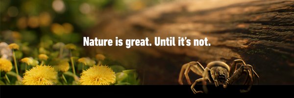 Ortho Profile Banner