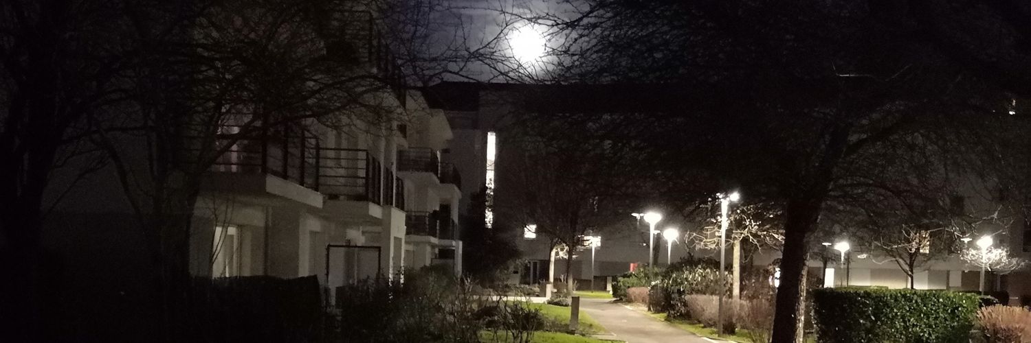 Metaclo ⚔️🦒🐹 banner