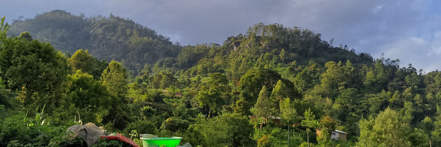 modambaa's profile banner image