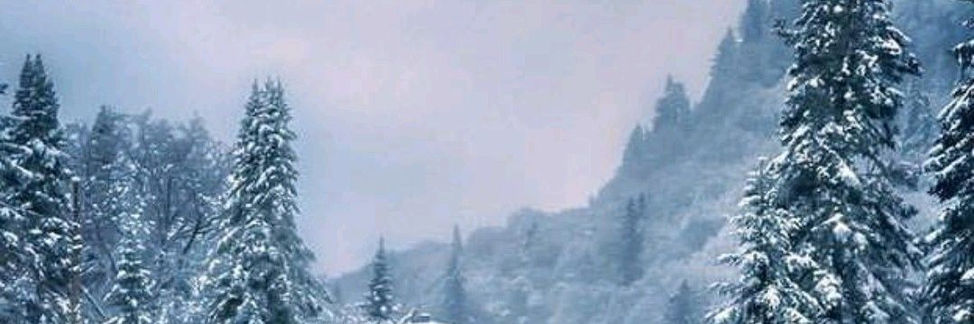 ❄️ Lady Winter ❄️ banner