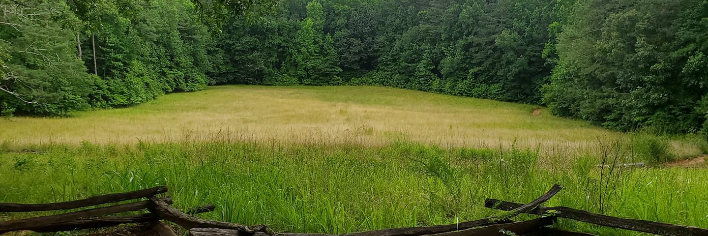 Southern Mercury banner