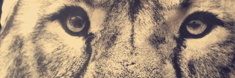 tekkerstroy's profile banner image