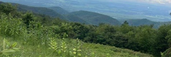 caitlin_ento Profile Banner