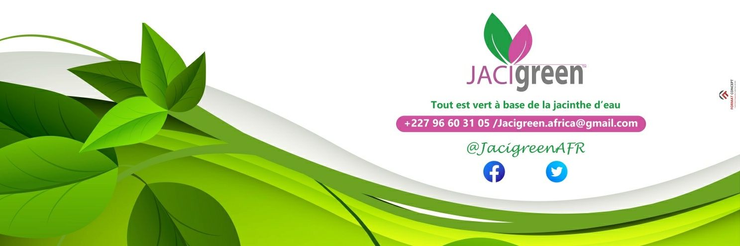JacigreenAFR's profile banner image