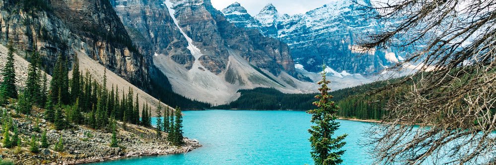 Afeezdgr8 (Dgr8.eth) banner