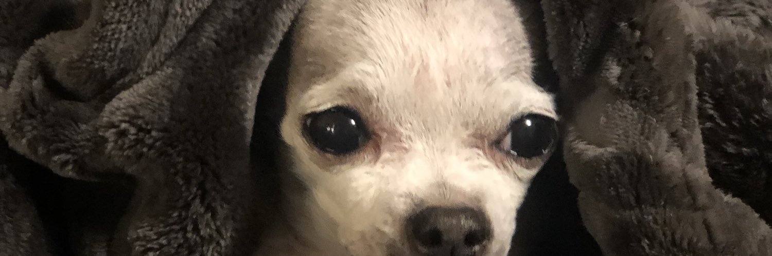 maylebby's profile banner image