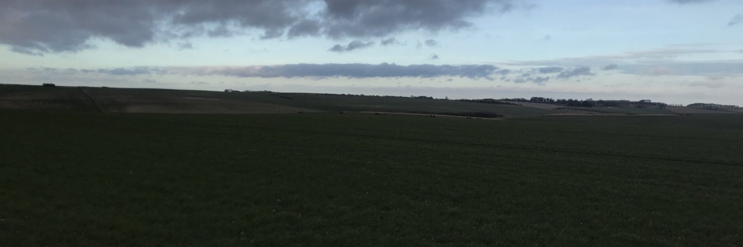 woldfieldEdu's profile banner image