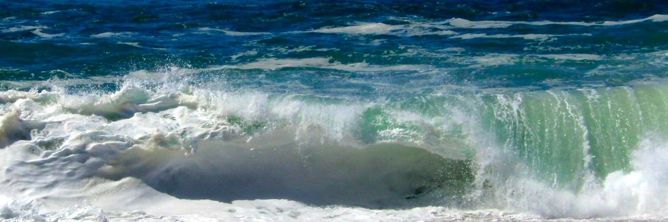 Simona Occhiuzzi banner