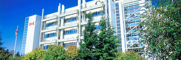 JudiBeck1 Profile Banner