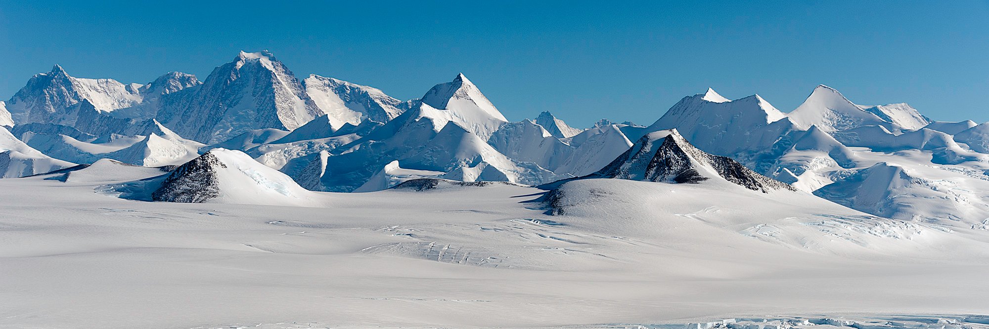 Salsa Antarctica banner
