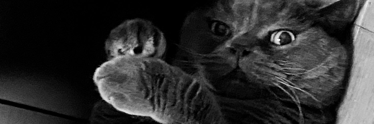 skmmrr's profile banner image