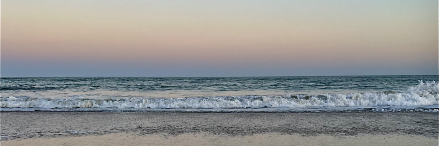 SofiaBruzzi's profile banner image