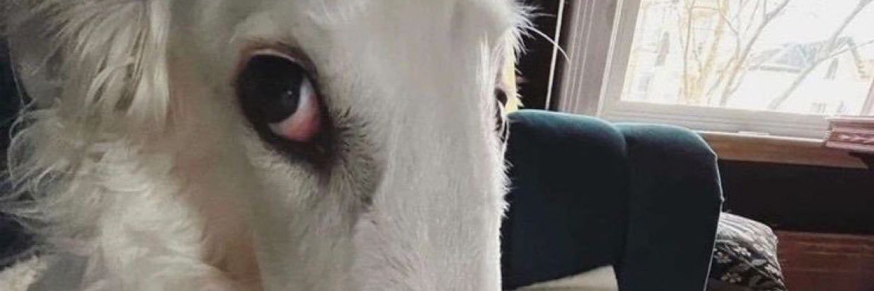 fermin trujillo banner