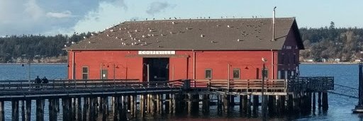 IndivisibleWhidbey banner