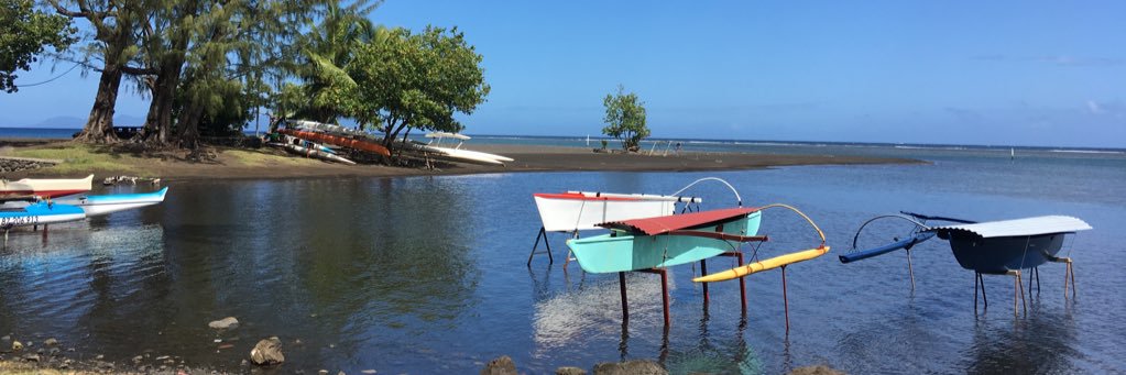 Lucrezia Bonzi banner